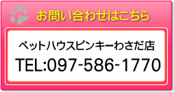 わさだ店お問い合わせ